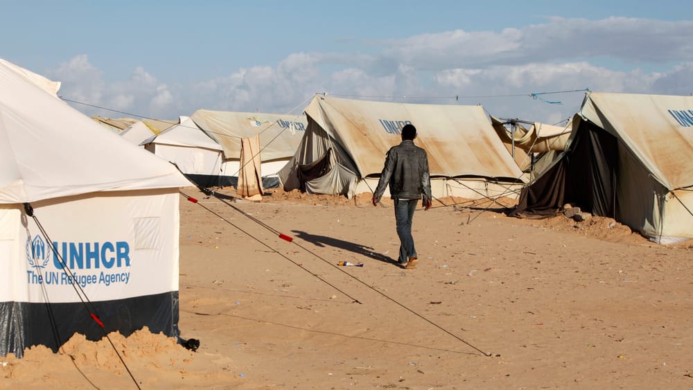 Der UN-Migrationspakt | Von Jochen Mitschka Beitragsbild