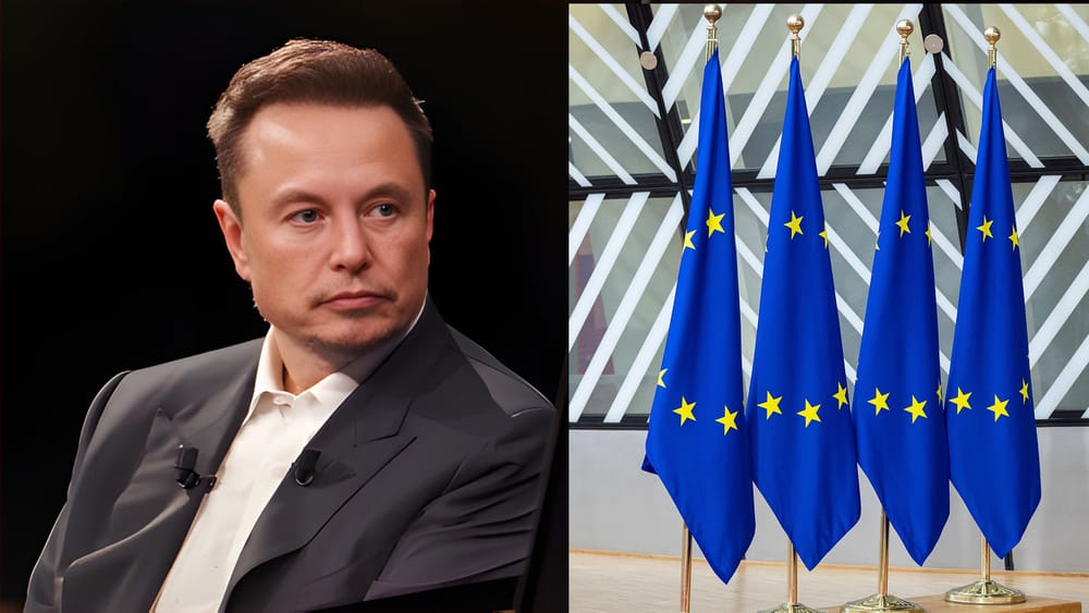 Musk vs. EU | Von Claudia Töpper Beitragsbild