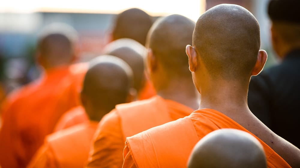 Wie durchbrechen wir den Hassschirm? | Von Hermann Ploppa Beitragsbild