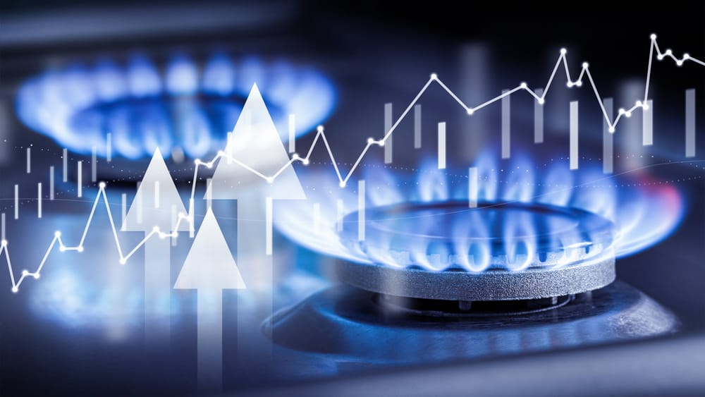 Der Preis der Eskalation | Von Günther Burbach Beitragsbild