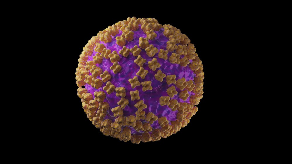 Hantavirus – Beginn der Volksverarschung 2.0? | Von Uwe Froschauer Beitragsbild