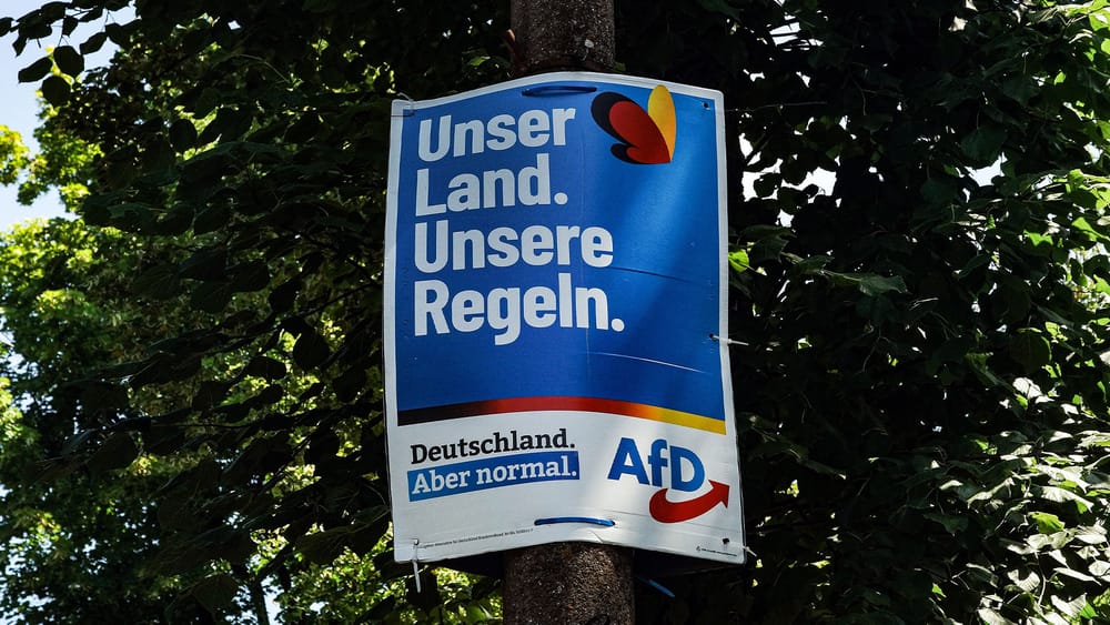 Gutachten: AfD laut Experten "nachweislich verfassungsfeindlich" Beitragsbild