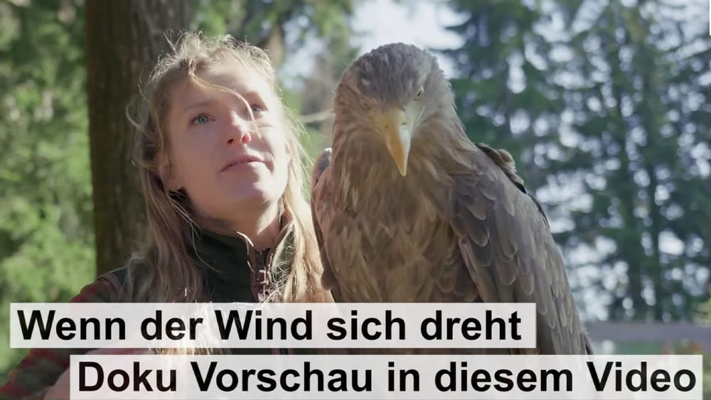 "Wenn der Wind sich dreht" | Die Windkraft-Doku (Vorschau & Live-Premiere) Beitragsbild