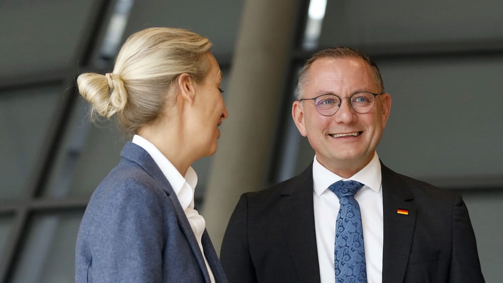 AfD-Parteitag: Den wirtschaftslibertären Kurs fortsetzen | Von Paul Clemente Beitragsbild