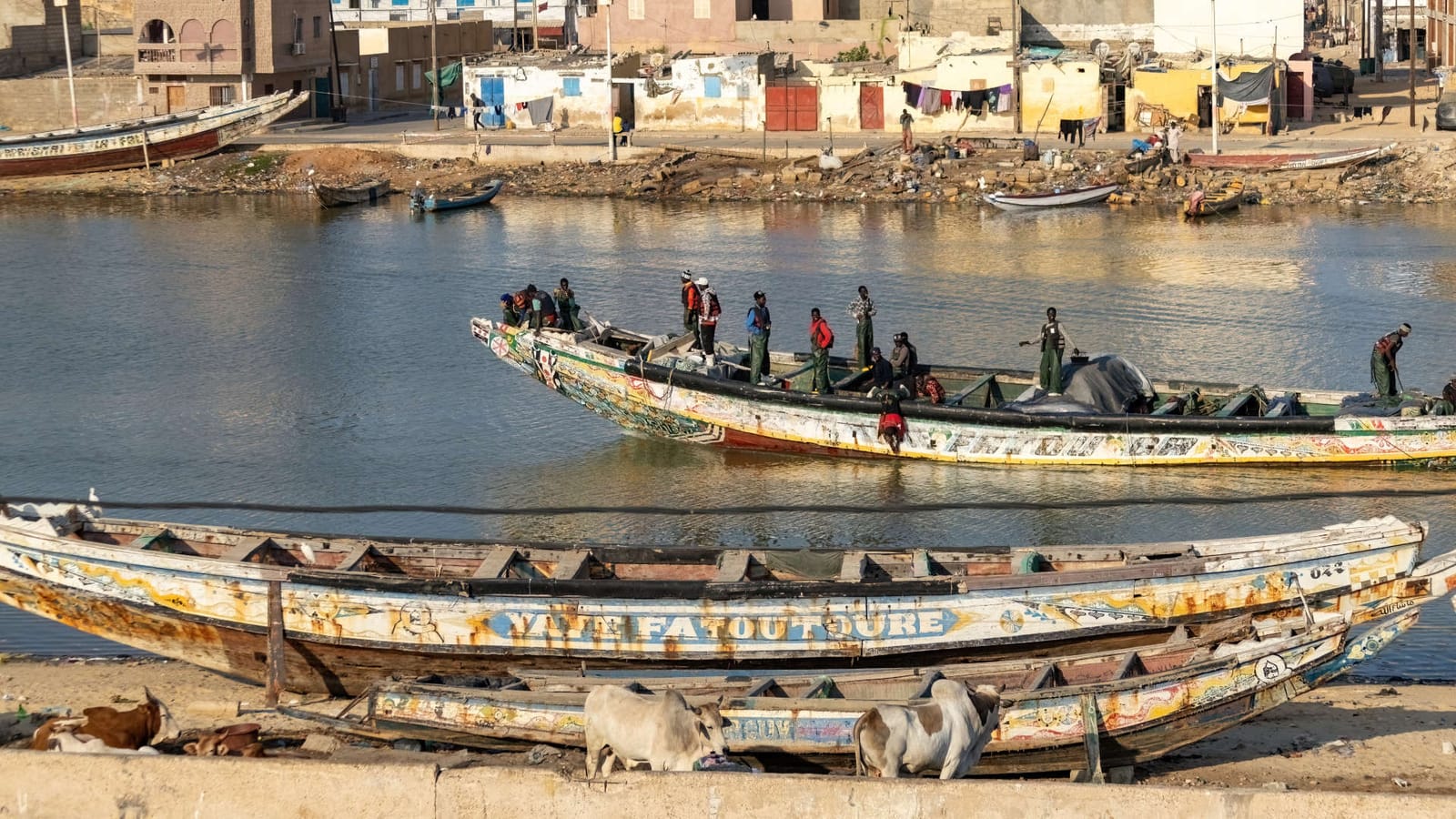 Migration: Die Folgen der Globalisierung | Von Jochen Mitschka