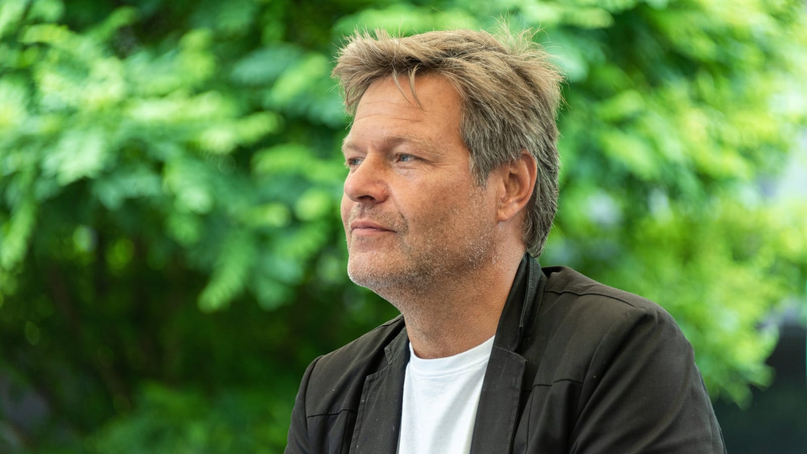 Transformation um jeden Preis – Ideologische Grüne und ihre Widersprüche | Von Uwe Froschauer