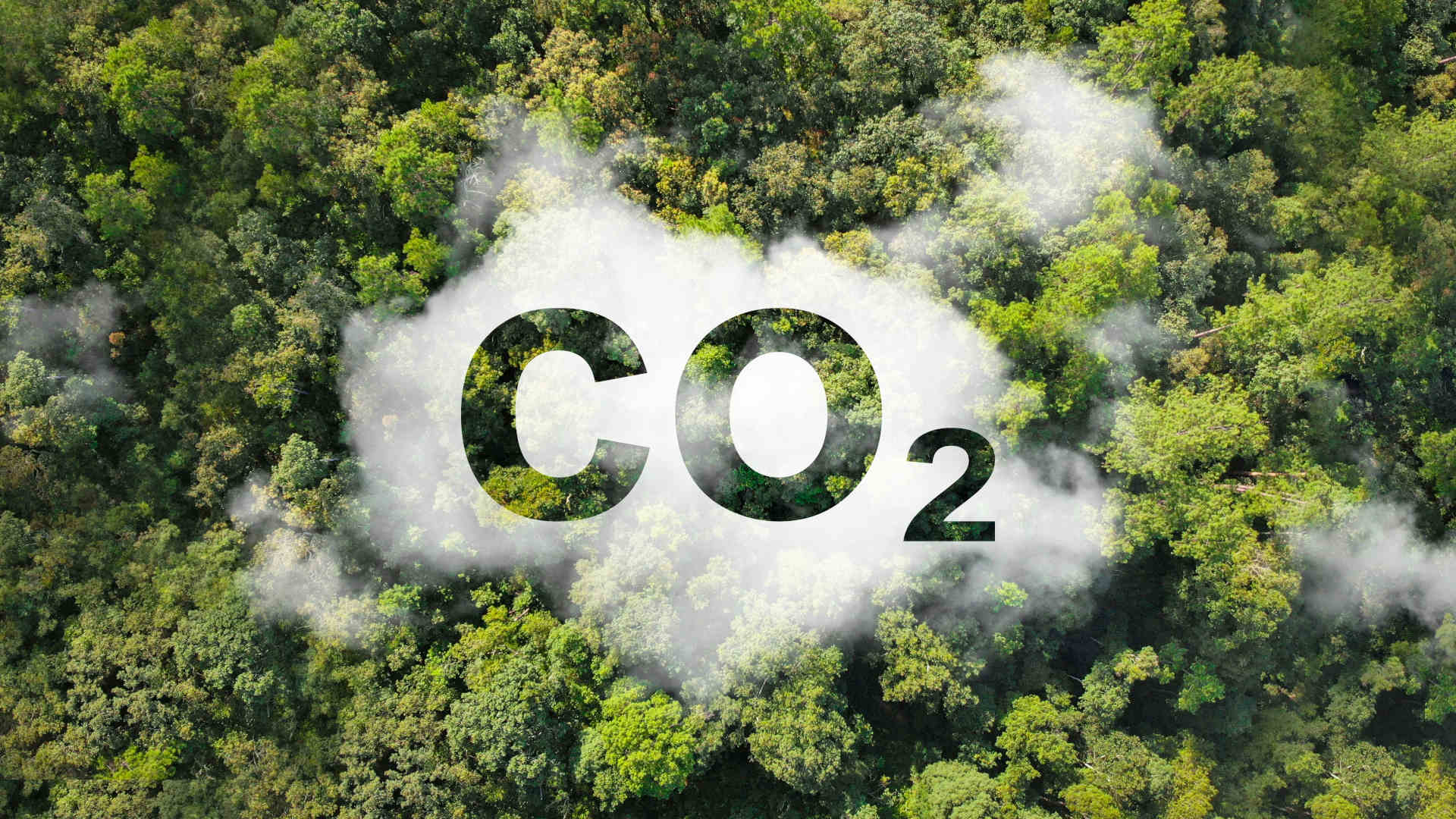 Klimalüge und Klimadiktatur (Teil 5): CO2 – vom Lebenselixier zum Klimakiller? | Von Uwe Froschauer