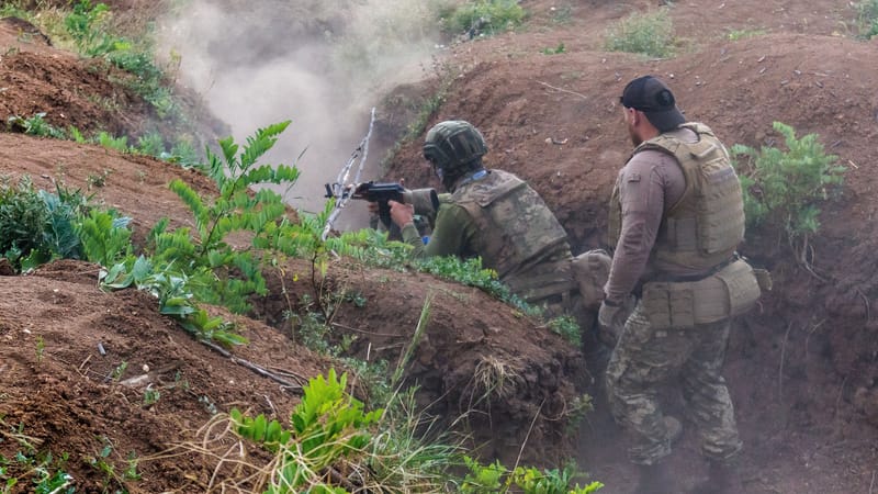 Ukrainische Flüchtlinge: Vom Asyl zur Armee? | Von Rainer Rupp Beitragsbild