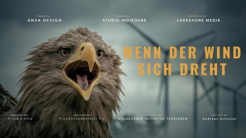 Wenn der Wind sich dreht – Deutschlandweite Windkraft-Doku | Director's Cut Beitragsbild